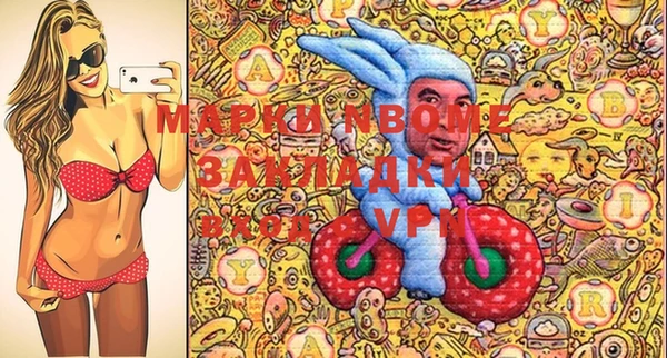 apvp Бородино