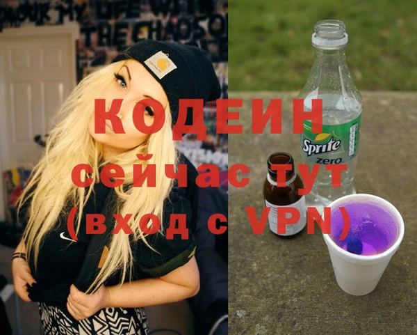 apvp Бородино