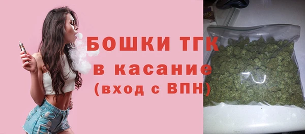 2c-b Богородицк