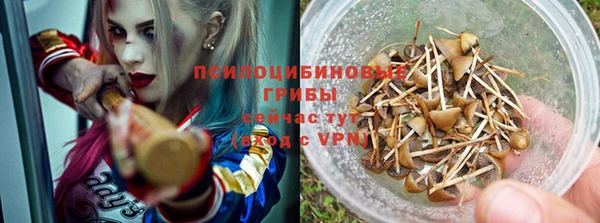 apvp Бородино