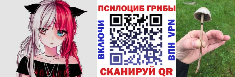 Псилоцибиновые грибы Magic Shrooms Сосногорск