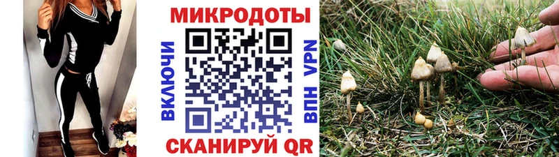 закладка  Сосногорск  Галлюциногенные грибы прущие грибы 